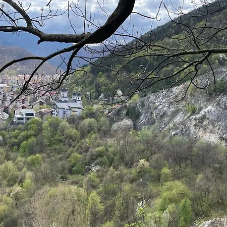 Apartment Snail Shell *