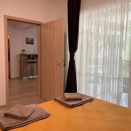 Snail Shell * Brasov