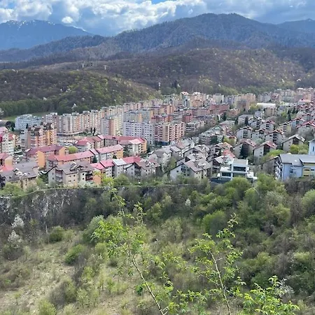 Snail Shell * Brasov
