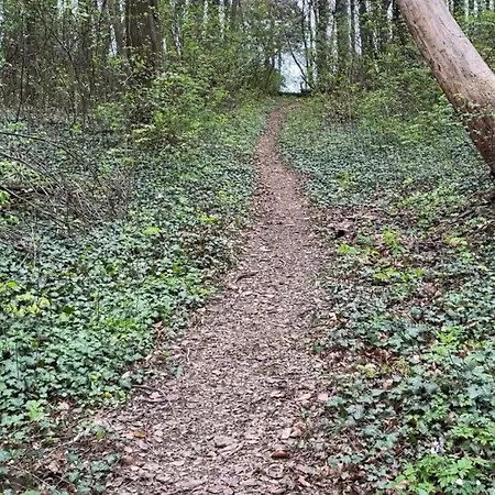 Apartment Snail Shell