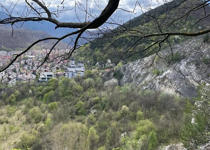 Apartment Snail Shell *