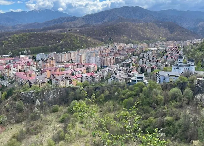 Snail Shell * Brasov