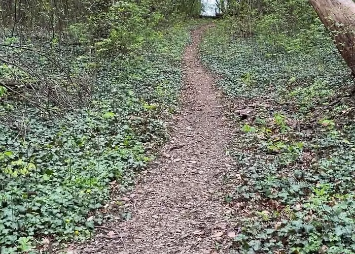 Apartment Snail Shell